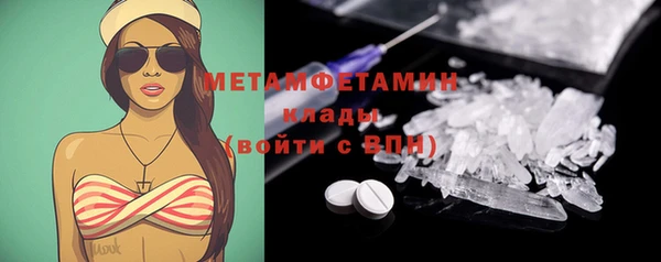 трава Ельня