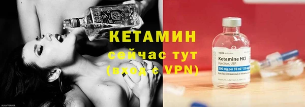 трава Ельня