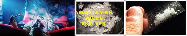 трава Ельня