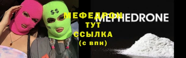 трава Ельня