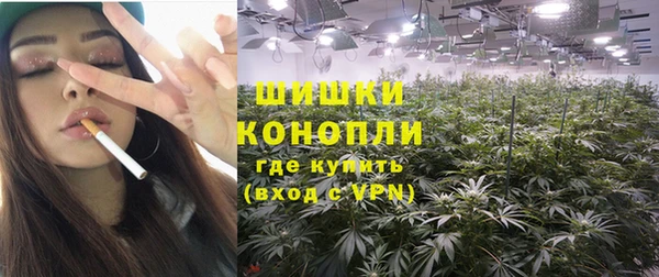 трава Ельня
