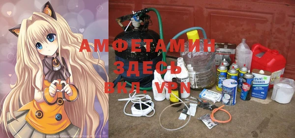 трава Ельня