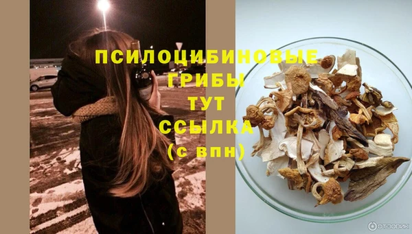 экстази Елабуга