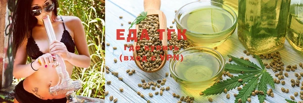 трава Ельня