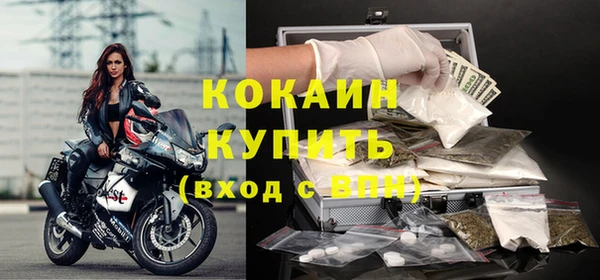 трава Ельня