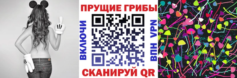 Купить где  Корсаков  Псилоцибиновые грибы мицелий 